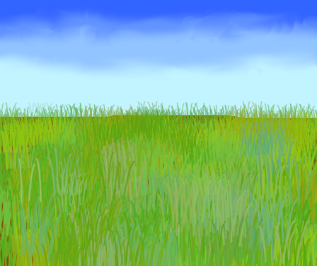 Tux Paint drawing: 'Meadow (rét)'